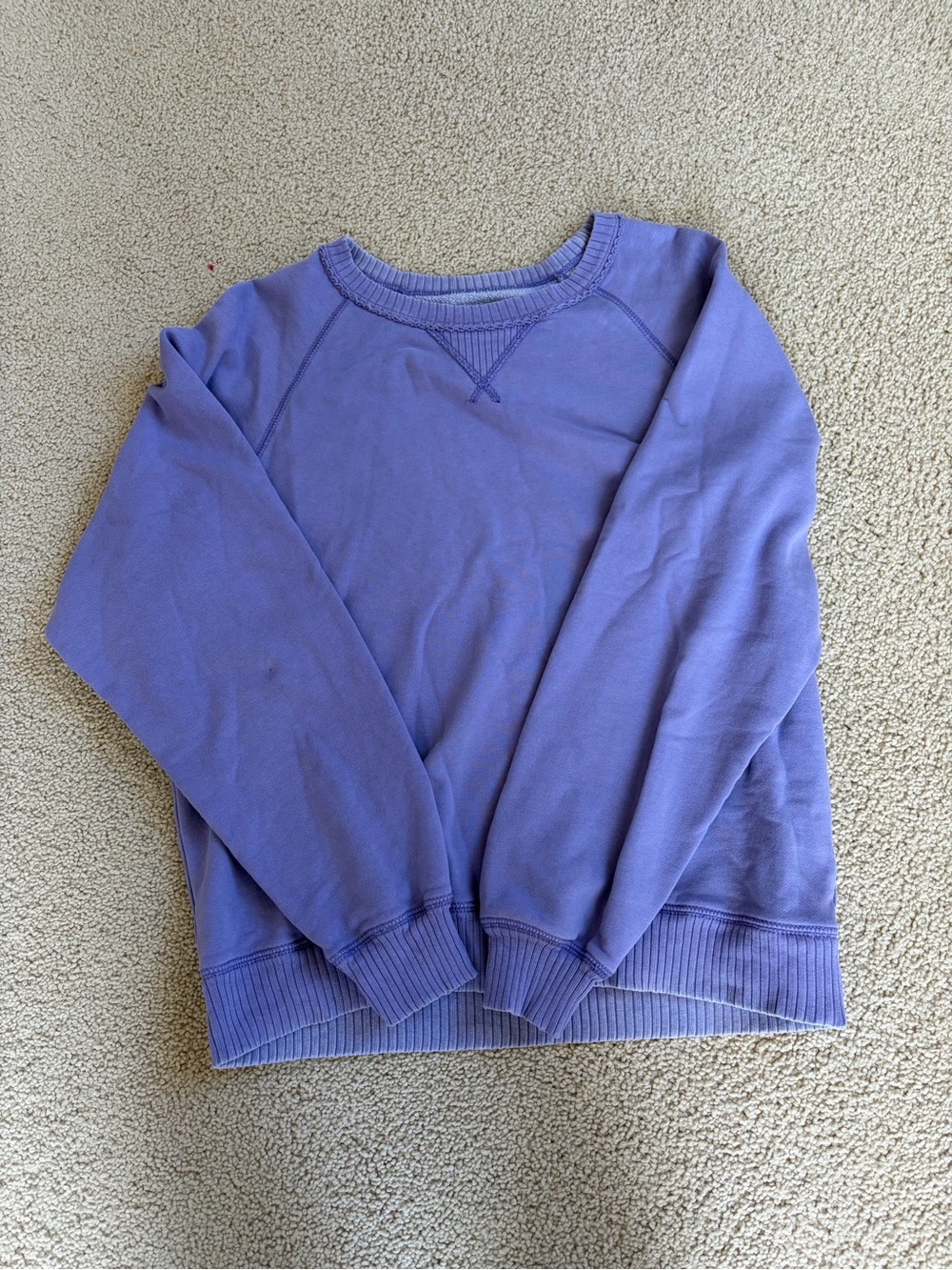 American Eagle Outfitters Purple Crewneck Sweatshirt